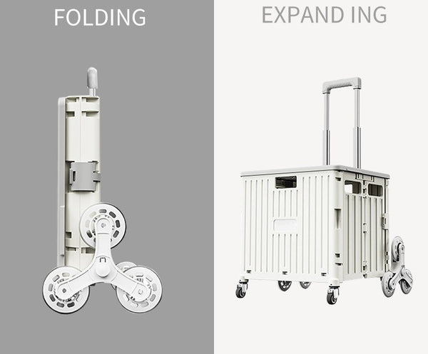 Foldable shopping Trolly