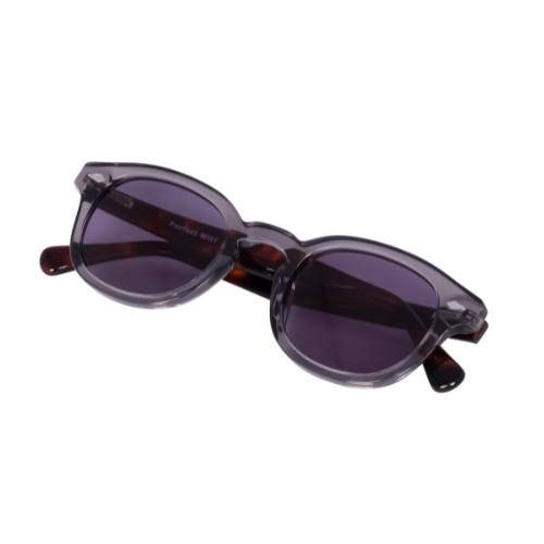 Jason Tortoise Sunglasses