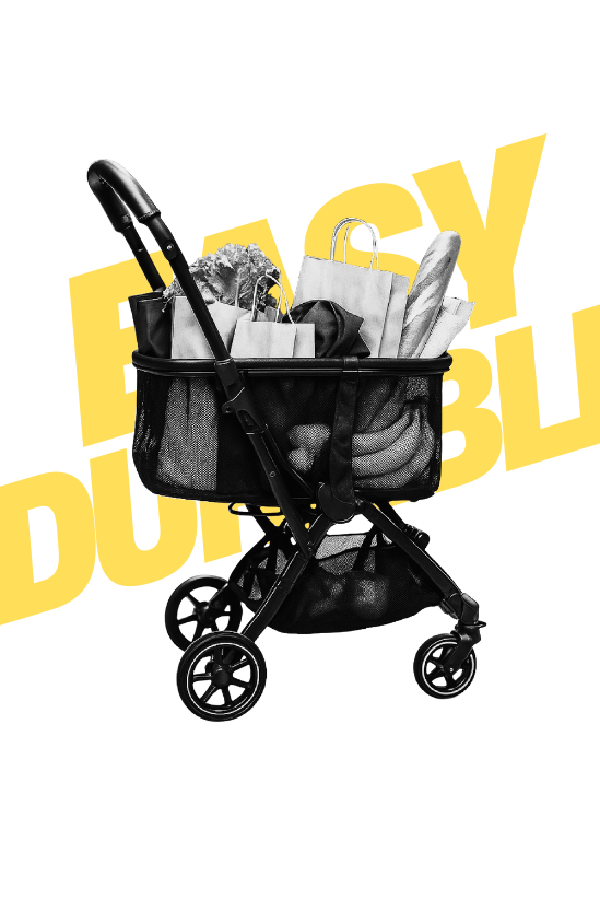 Shopping Stroller